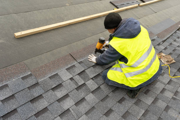 Best Roof Gutter Cleaning  in Norris, TN