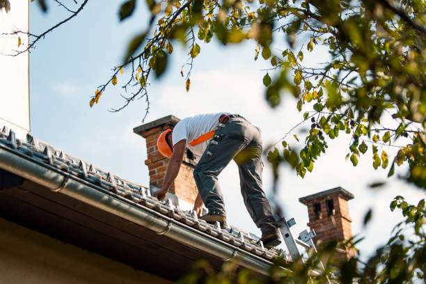 Best Storm Damage Roof Repair  in Norris, TN